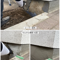 画像491