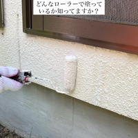 画像494