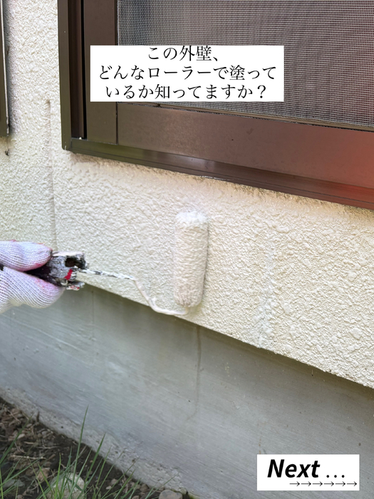 画像494