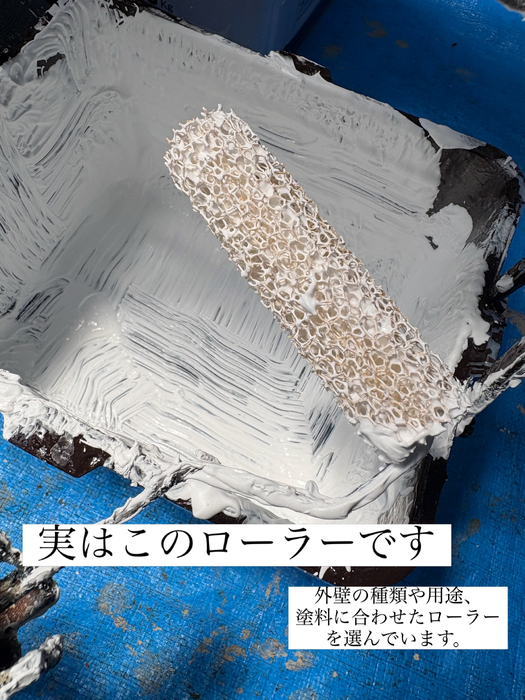 画像495