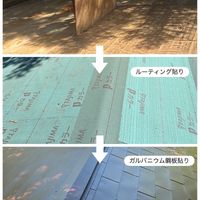画像503